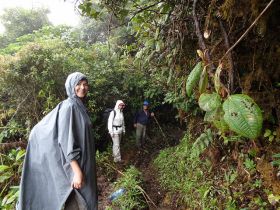 cloud forest, Boquete hikers – Best Places In The World To Retire – International Living